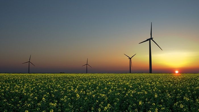 Τα αιολικά φθηνότερα από άνθρακα, αέριο, πυρηνικά